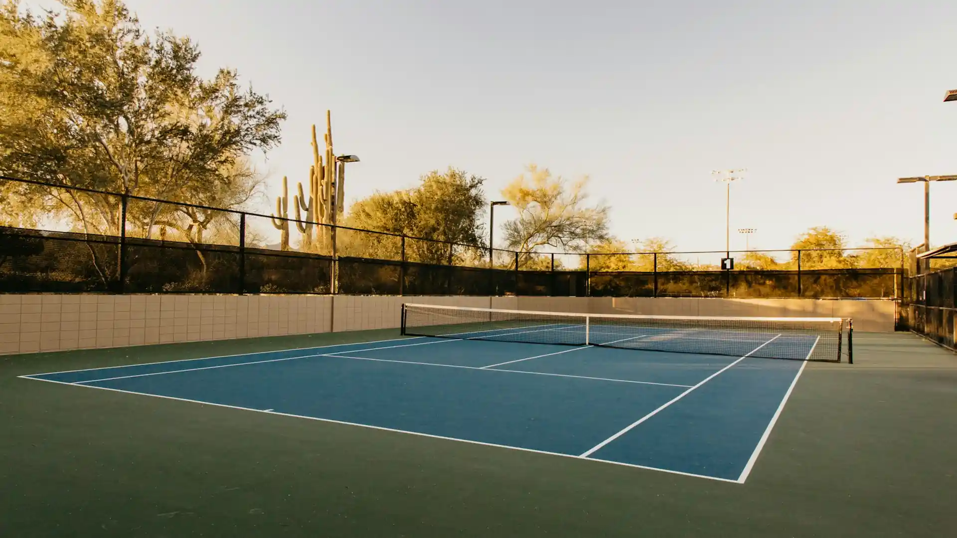 Public tennis courts in West Palm Beach with palm trees