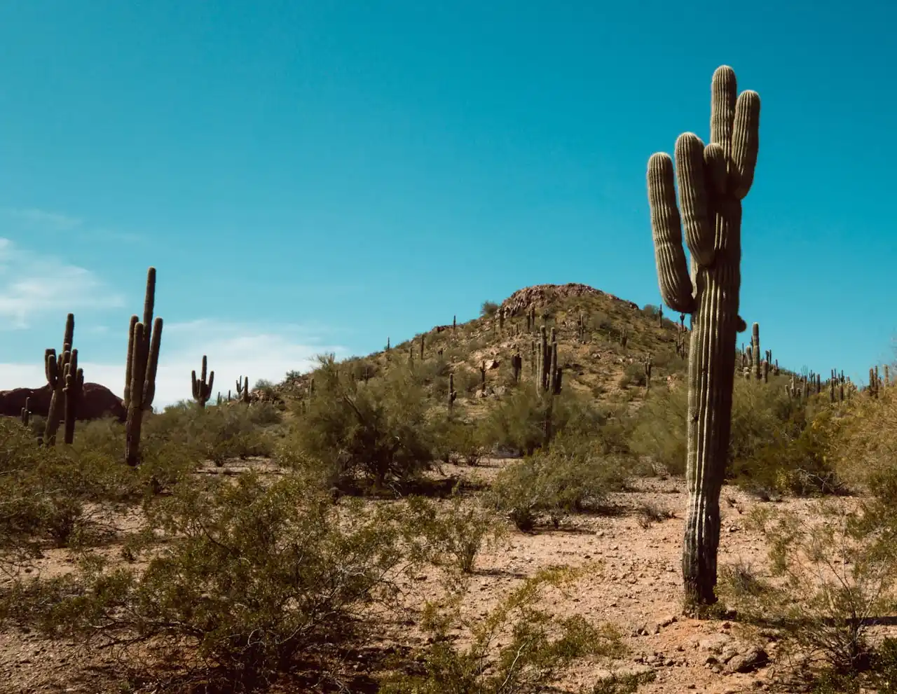 The vast Arizona desert landscape, representing the extreme heat conditions Scottsdale tennis players navigate in summer