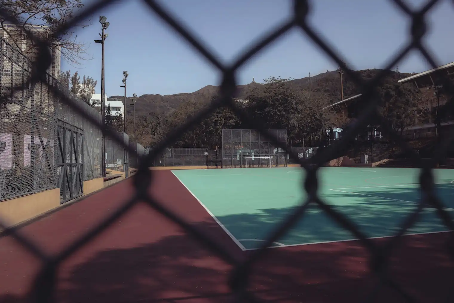 A pristine multi-sport court in Phoenix with palm trees in the background