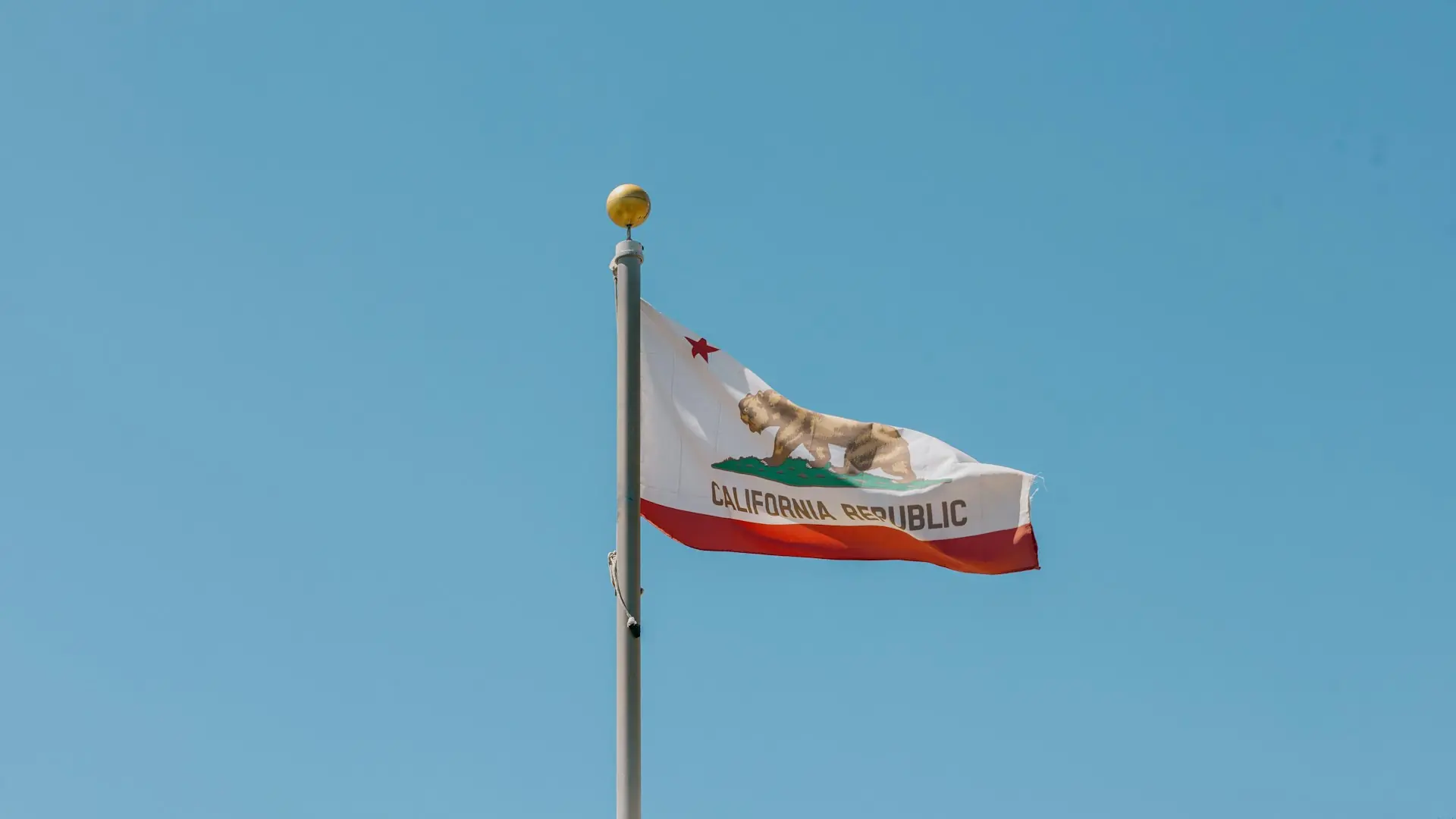 California Flag background